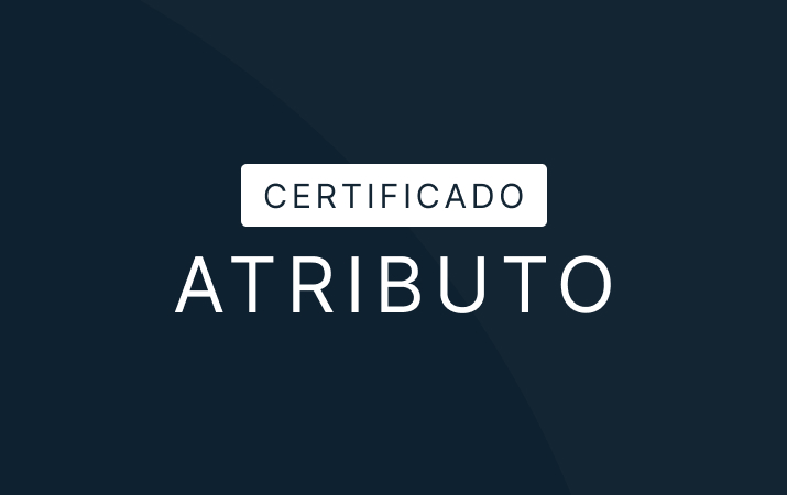 Certificado 3